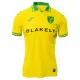Norwich City Fodboldtrøje Herre Hjemmebane 25/26 Norwich City Fodboldtrøje Herre Hjemmebane 25/26