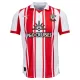 Southampton Fodboldtrøje Herre Hjemmebane 25/26 Southampton Fodboldtrøje Herre Hjemmebane 25/26