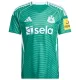 Newcastle United Fodboldtrøje Herre Udebane 25/26 Newcastle United Fodboldtrøje Herre Udebane 25/26