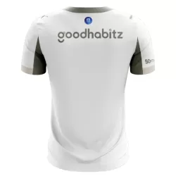 PSV Eindhoven Fodboldtrøje Børn Tredje 25/26