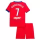 Paris Saint-Germain Kvaratskhelia 7 Fodboldtrøje Børn Tredje 25/26 Paris Saint-Germain Kvaratskhelia 7 Fodboldtrøje Børn Tredje 25/26