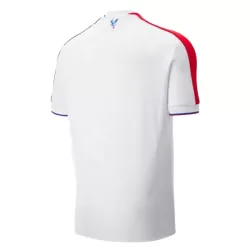 Crystal Palace Fodboldtrøje Herre Tredje 25/26