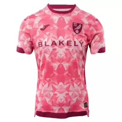 Norwich City Fodboldtrøje Herre Tredje 25/26