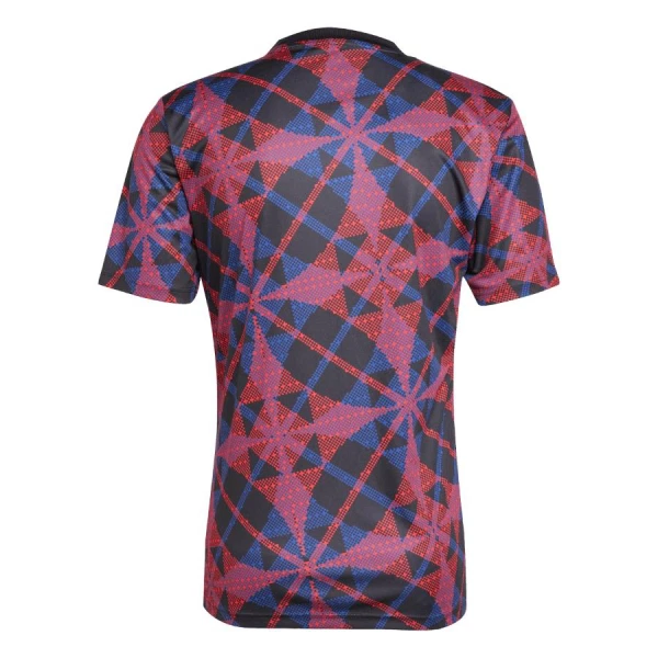 Olympique Lyon Pre-Match Fodboldtrøje Herre 25/26