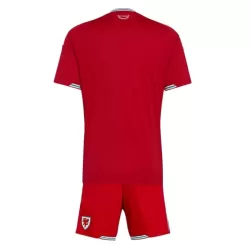 Wales Fodboldtrøje Børn Hjemmebane VM 2026