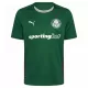Palmeiras Fodboldtrøje Herre Hjemmebane 26/27