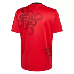 Manchester United Cultural Story Fodboldtrøje Herre 25/26 Speciel