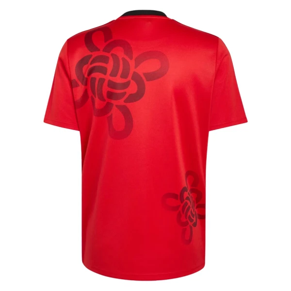 Manchester United Cultural Story Fodboldtrøje Herre 25/26 Speciel