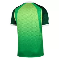 Nigeria Fodboldtrøje Herre Hjemmebane 26/27