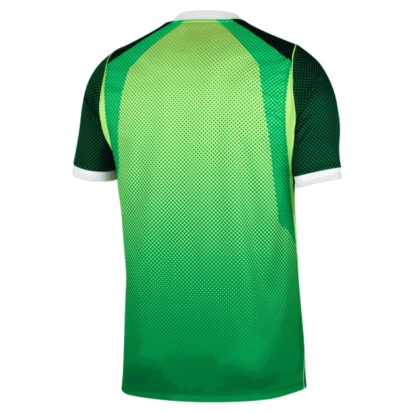 Nigeria Fodboldtrøje Herre Hjemmebane 26/27