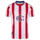 CD Guadalajara Fodboldtrøje Herre 120. Jubilæum 25/26 CD Guadalajara Fodboldtrøje Herre 120. Jubilæum 25/26