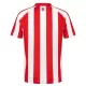 Sunderland Fodboldtrøje Herre Hjemmebane 26/27