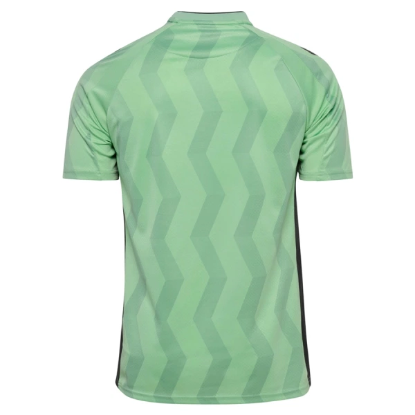AS Saint-Étienne Fodboldtrøje Herre Tredje 26/27